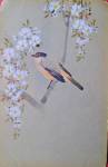 Открытка с птичкой на цветущей сакуре